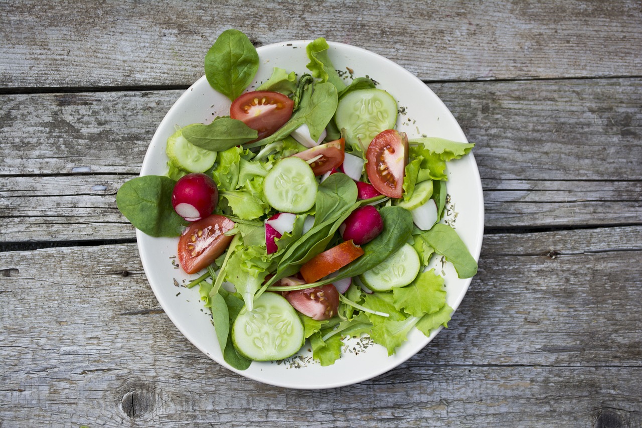 Die COPLANT-Studie analysiert die Langzeitfolgen pflanzenbasierter Ernährung – mit 6.000 Teilnehmenden aus Deutschland und Österreich. Bild: Pixabay