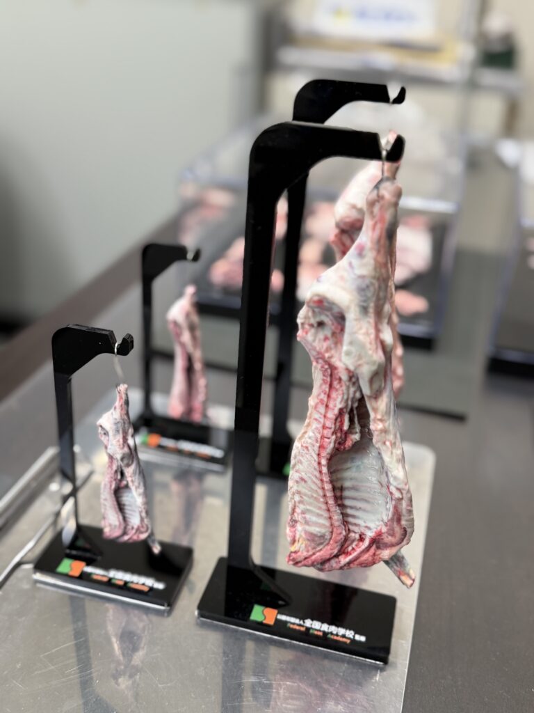3D-Modelle der Federal Meat Academy: Die detailgetreuen Schnittmodelle zur Ausbildung und Qualitätsbeurtei- lung sind künftig über die Meat GmbH erhältlich. © Beigestellt