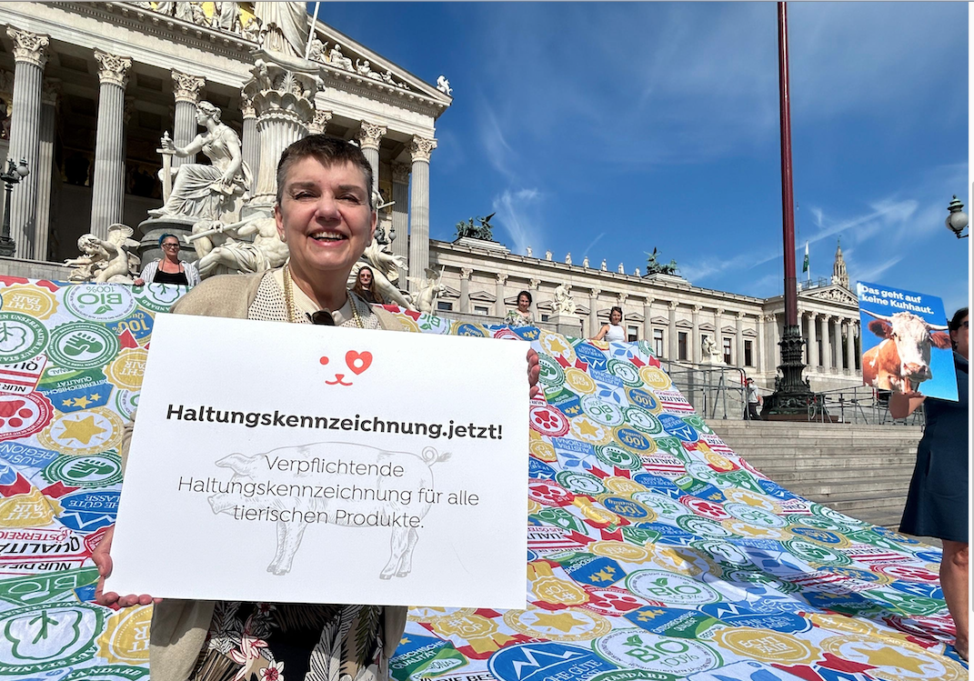 Madeleine Petrovic, Präsidentin von Tierschutz Austria: „Konsumentinnen und Konsumenten wollen Klarheit. Sie sollen auf einen Blick erkennen, wo Tierwohl drinnen ist – und wo nicht. Eine verpflichtende Haltungskennzeichnung für alle tierischen Produkte ist längst überfällig“. © Tierschutz Austria