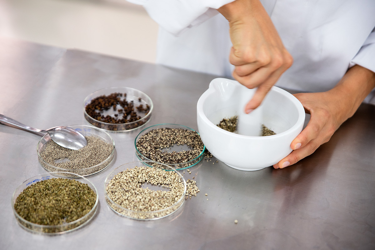 Wiberg in Salzburg: Kostensenkungen unter NovaTaste – bis zu 20 Mitarbeiter betroffen