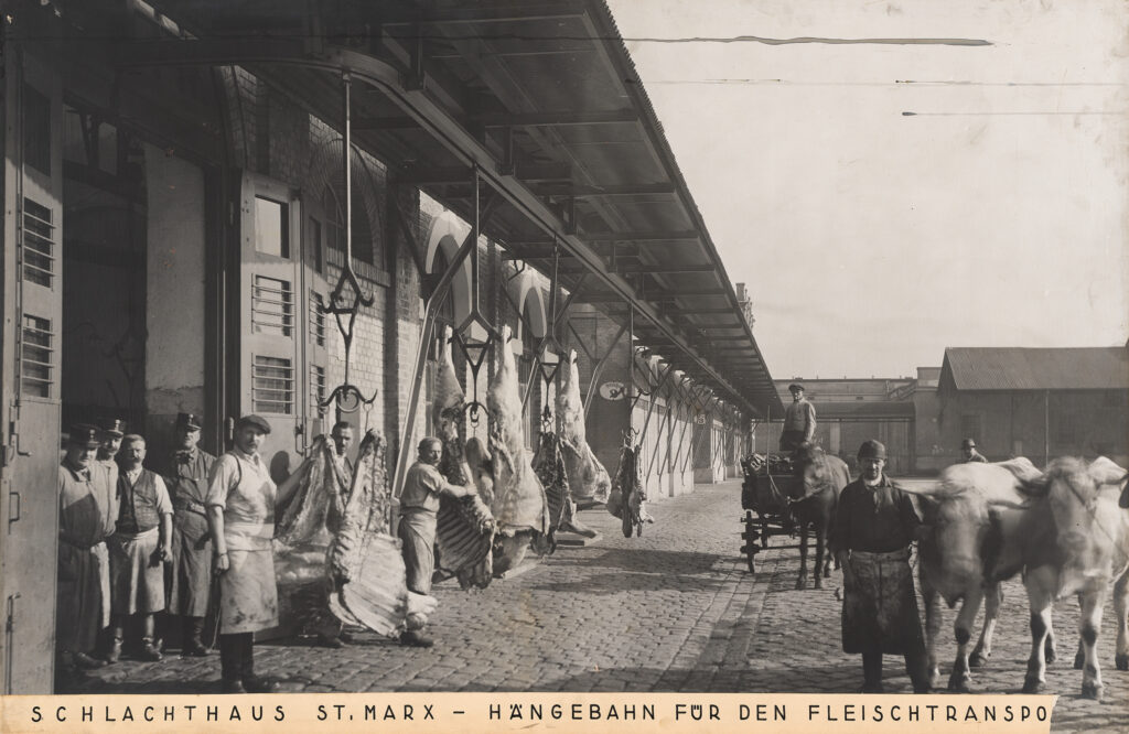 Schlachthof St. Marx in Wien: Über eine Hängebahn wurden die frisch geschlachteten Rinderhälfen transportiert. Das 19. Jahrhundert prägte die Stadt durch riesige Schlachthallen und eine florierende Fleischhauerei-Kultur. © Birgit und Peter Kainz, Wien Museum