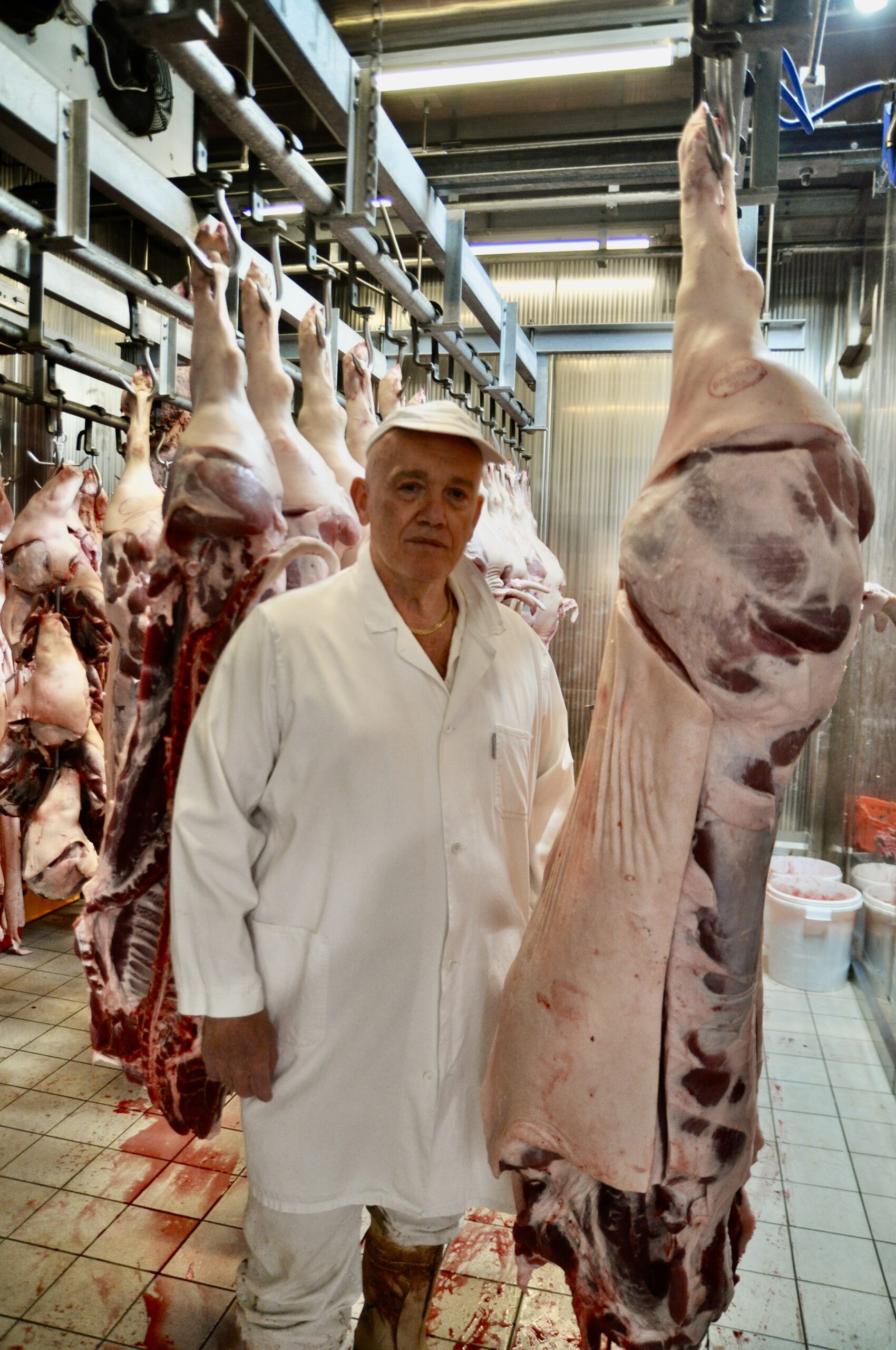 Fleischerhandwerk mit Haltung: Für Seniorchef Leopold Hödl ist fri- sches Schweinefleisch das Um und Auf – es steht sinnbildlich für die Qualität und Tradition, die den Familienbetrieb seit Generationen prägen.
