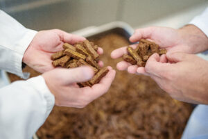 Vom Filet bis zum geformten Snack: WP Tiernahrung verarbeitet ein breites Sortiment an Hundeleckerlis – von naturbelassenen Stu?cken bis zu maschinell geformten Produkten, deren Qualität in jedem Produktionsschritt gepru?ft wird. © Henry Gasselich