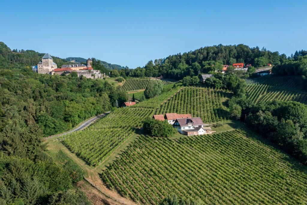 Die Rebzeilen unterhalb der Burg befinden sich seit 1811 im Familienbesitz. © pixelmaker.at