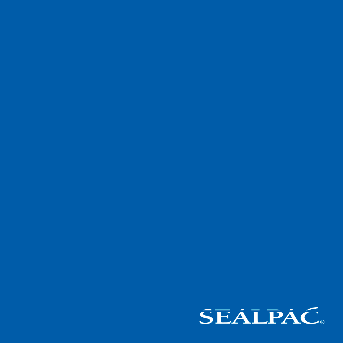 Sealpac Layer 40 bis 45_26