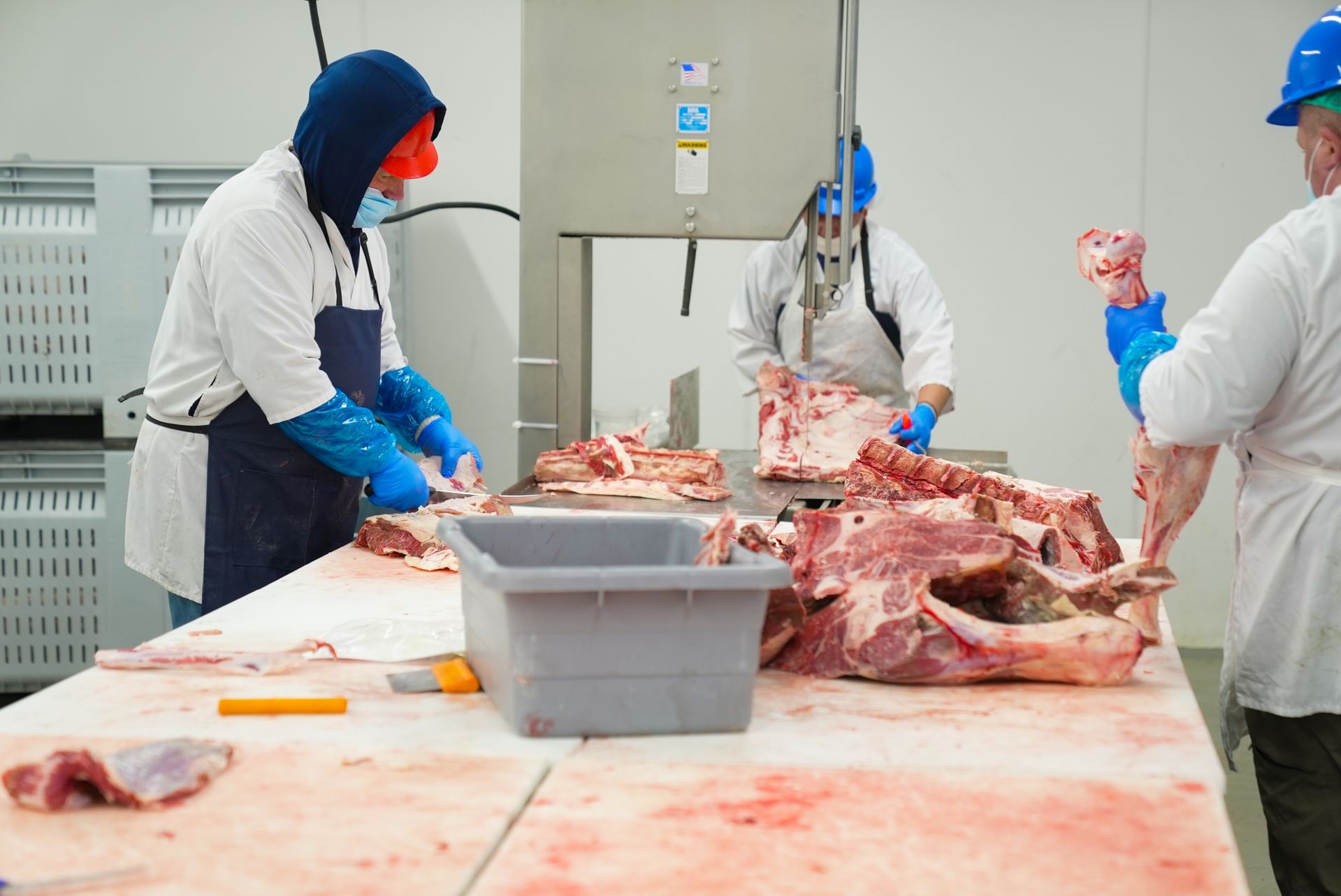 Schlachtrinderpreise Österreich: Jungstiere steigen, Kühe bleiben unter Vorjahr