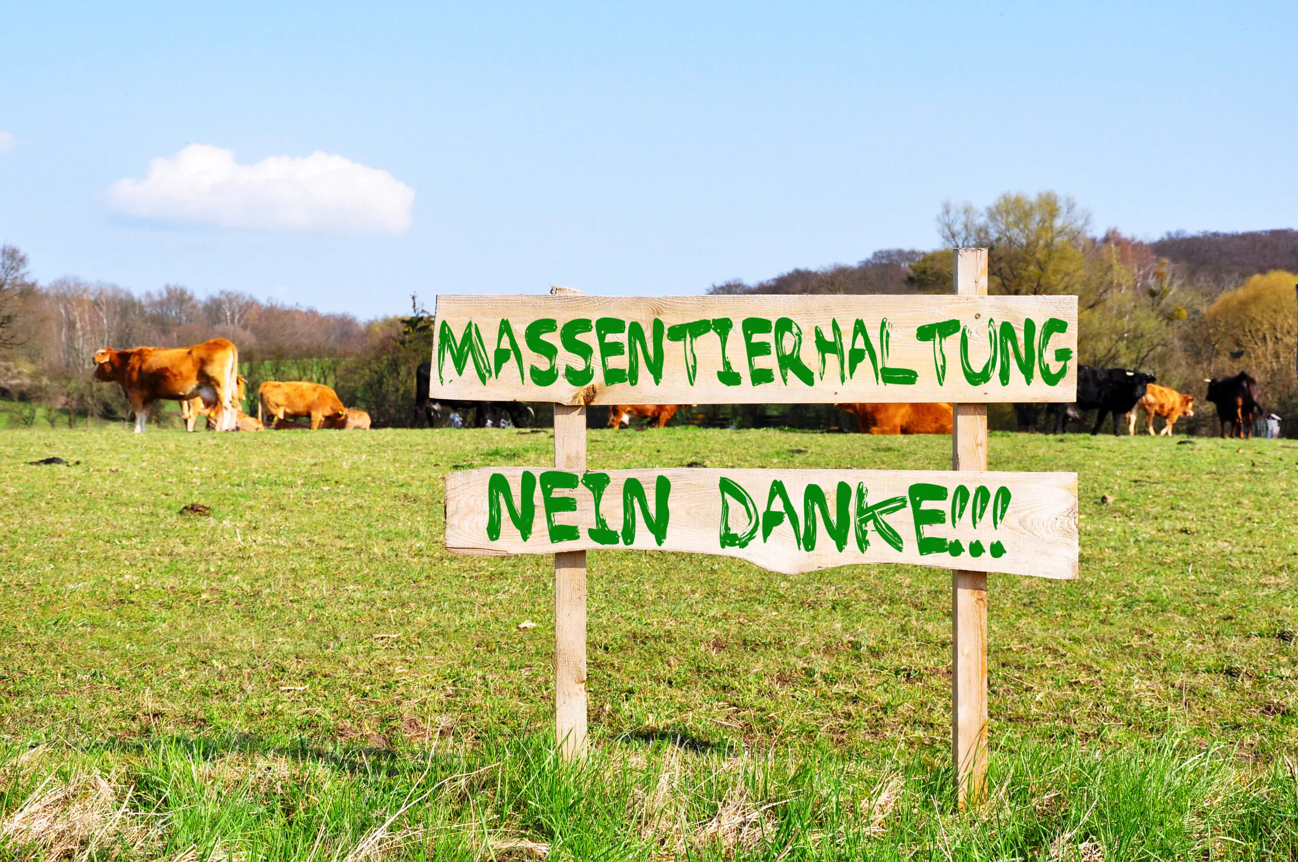 Die Einrichtung der unabhängigen „Dokumentationsstelle Massentierhaltung“ soll im ersten Quartal 2022 ihre Arbeit aufnehmen.
