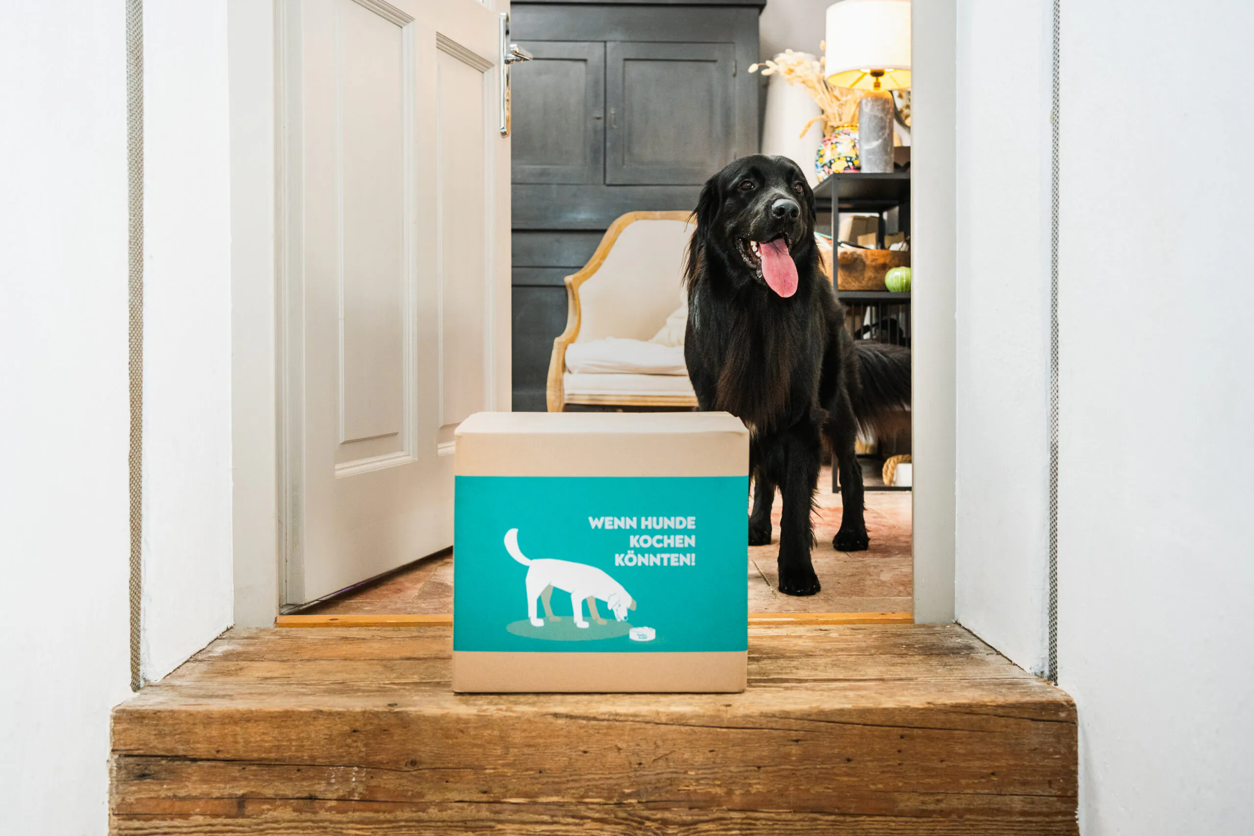 Individuell auf den Hund abgestimmt. Frisch gekocht, tiefgefroren und direkt nach Hause geliefert Bild: Anita Lorber
