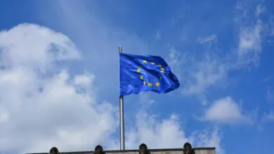 Ab 2026 gelten neue EU-Vorgaben zur Nachhaltigkeitsberichterstattung. Auch für größere Fleischereien wird die Taxonomie einfacher. (Bild: Pixabay)